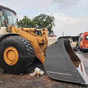 Powerful and Strong Liebherr