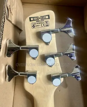 Ibanez Gio 5 Strings Passive Bass Guitar[5 Knobs]