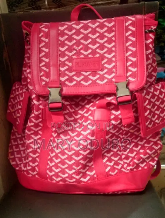 Goyard Bag
