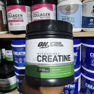 Optimum Nutrition Micronized Creatine 600g