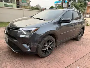 Toyota RAV4 LE AWD (2.5L 4cyl 6A) 2016 Gray