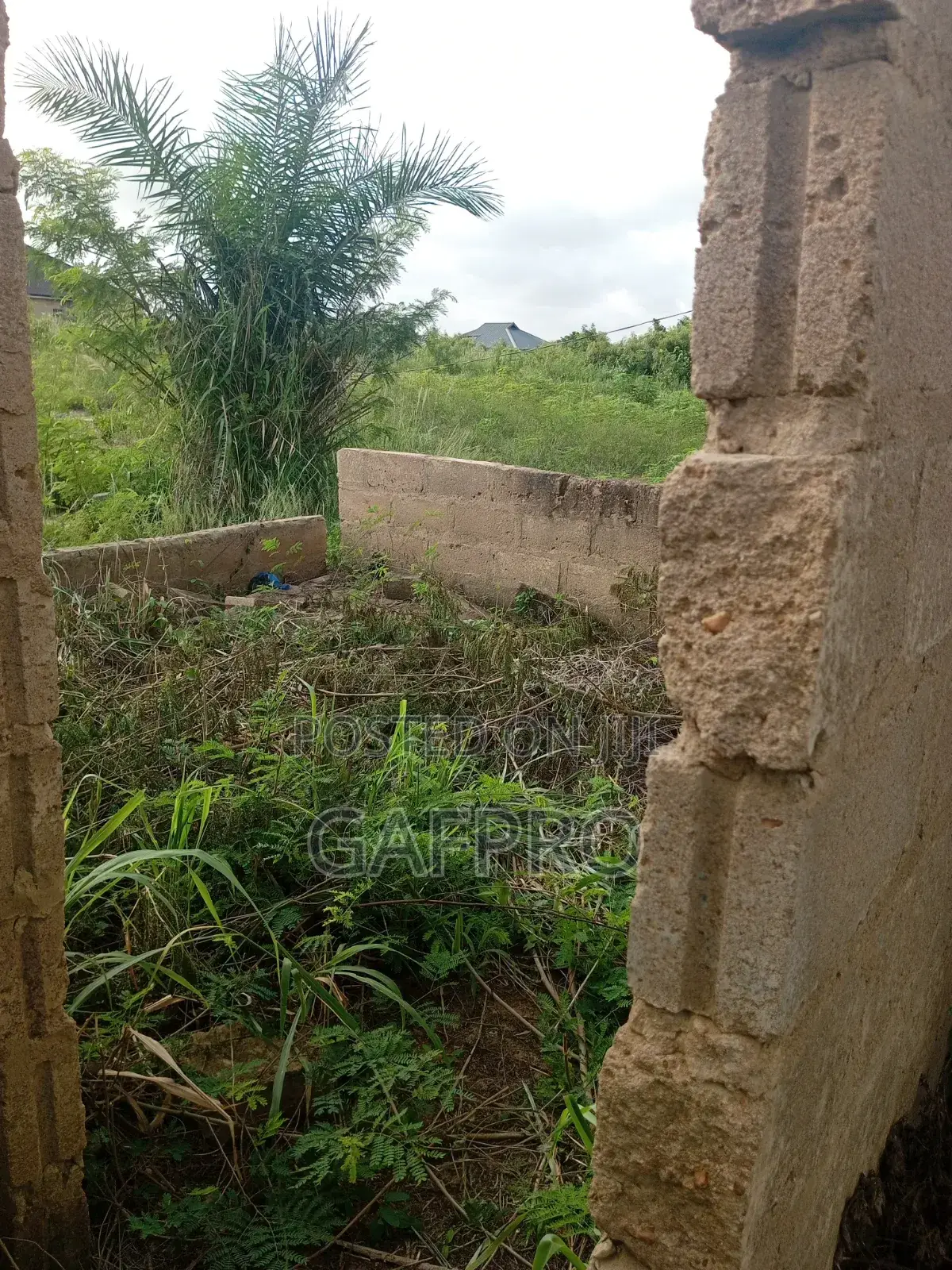 Land Plots