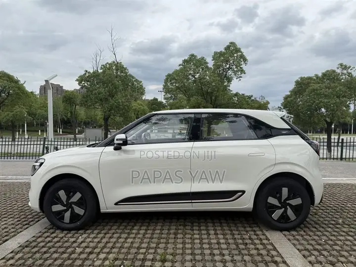 Electric Comfort Car Rental With Driver | Comfortable, Reliable