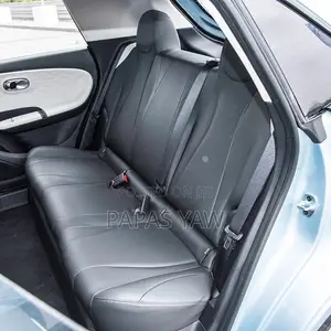 Electric Comfort Car Rental With Driver | Comfortable, Reliable