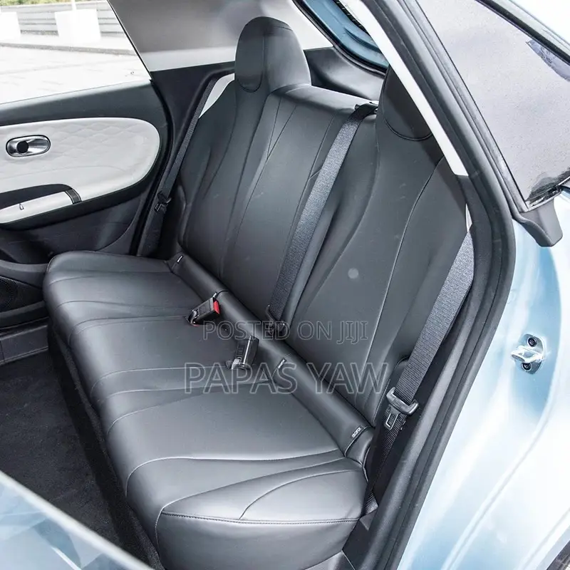 Electric Comfort Car Rental With Driver | Comfortable, Reliable