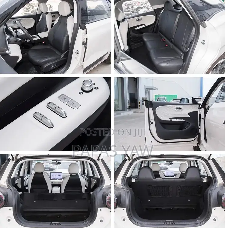 Electric Comfort Car Rental With Driver | Comfortable, Reliable