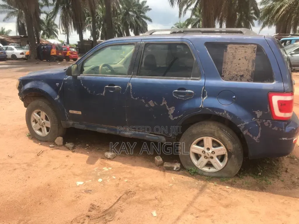 Ford Escape 2008 Blue