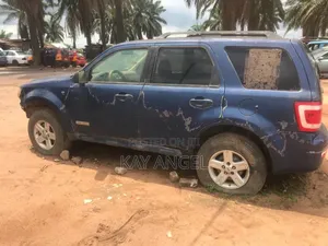 Ford Escape 2008 Blue