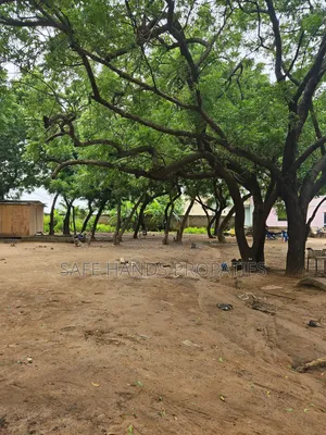 Two Plots of Land for Sale