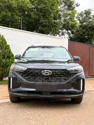 Hyundai Ix35 2021 Gray