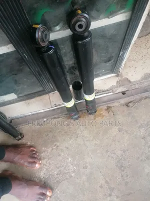 Toyota Highlander 2019 Back Shocks Absorbers