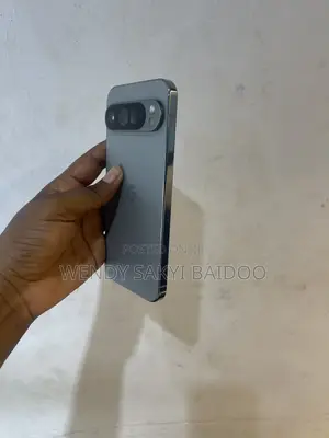 Google Pixel 9 Pro XL 256 GB Gray