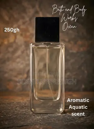 Bath and Body Works Ocean (Unboxed)
