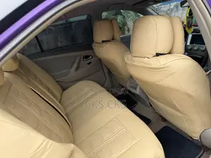 Toyota Camry 2010 Purple