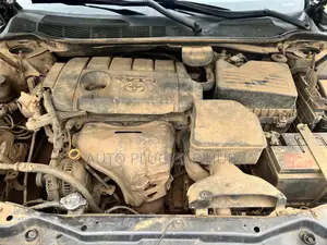 Toyota Camry 2010 Gray