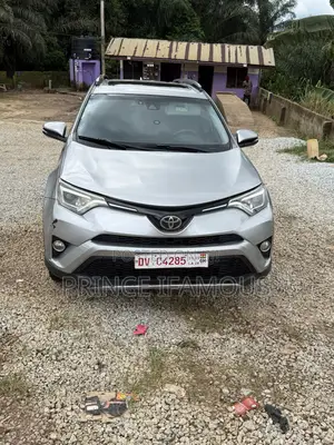 Toyota RAV4 XLE 4dr SUV (2.5L 4cyl 6A) 2018 Silver