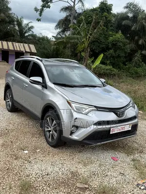 Toyota RAV4 XLE 4dr SUV (2.5L 4cyl 6A) 2018 Silver
