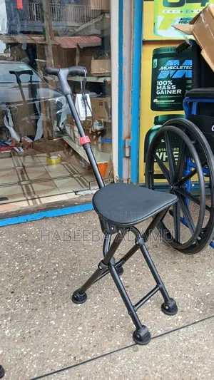 Walking Cane Chair