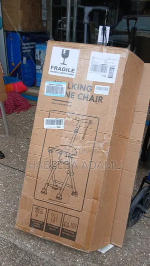 Walking Cane Chair