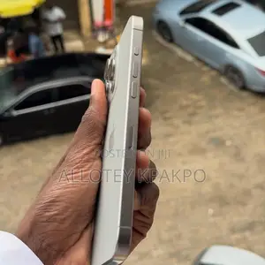 Apple iPhone 15 Pro Max 256 GB Silver