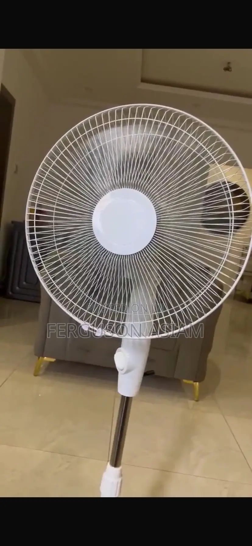 Chargeable Standing Fan (Solar and Electric Charging )