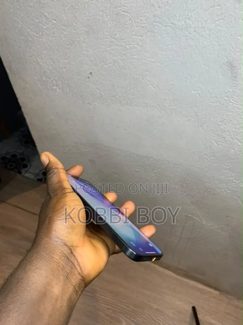 Apple iPhone 15 Pro Max 256 GB Black