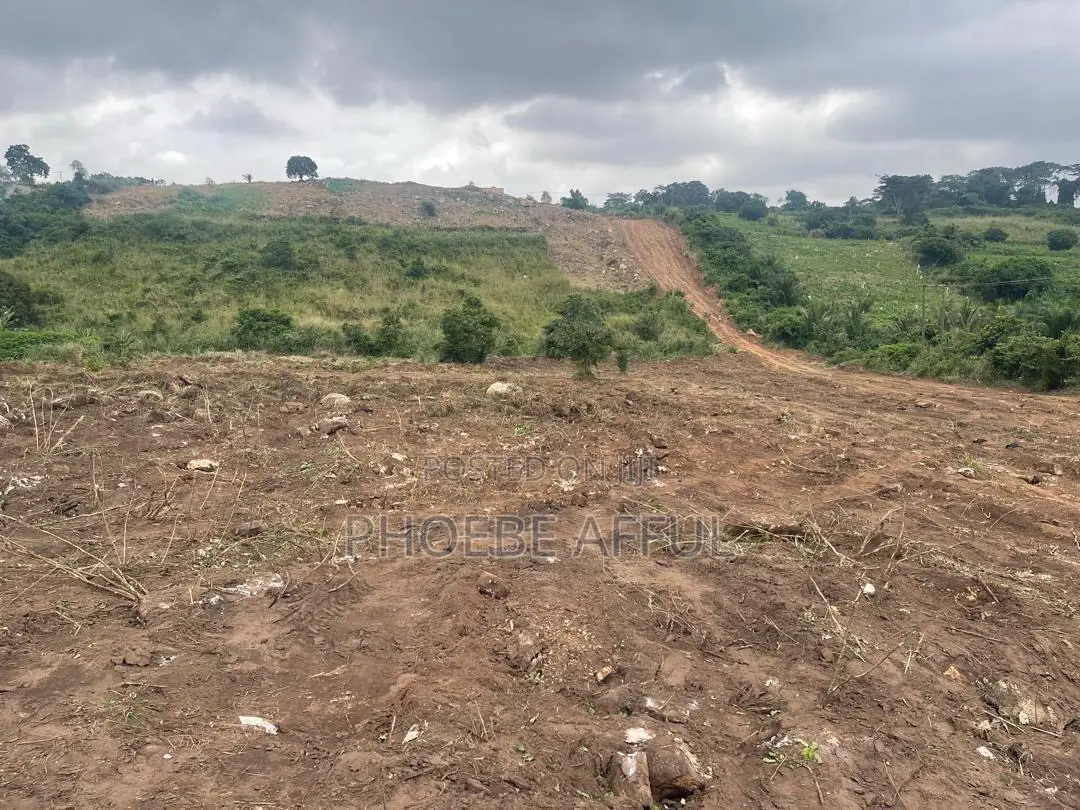 Lands for Sale