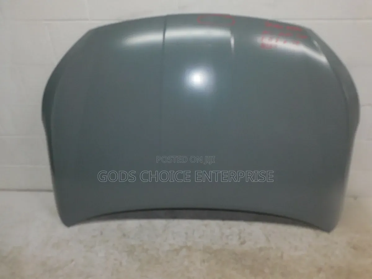 Bonnet Elantra 2019-2020