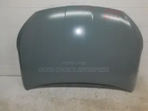 Bonnet Elantra 2019-2020