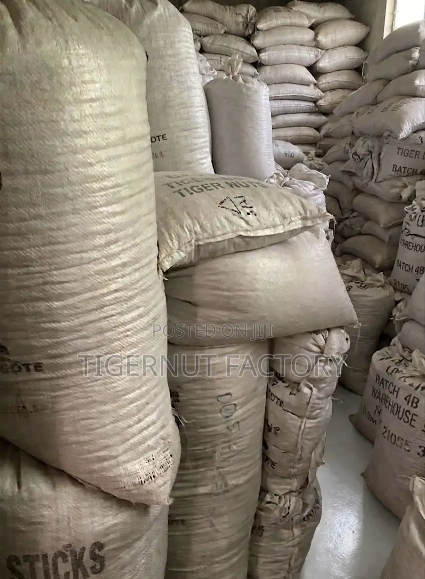 Industrial-Grade Raw Tigernuts for Processing