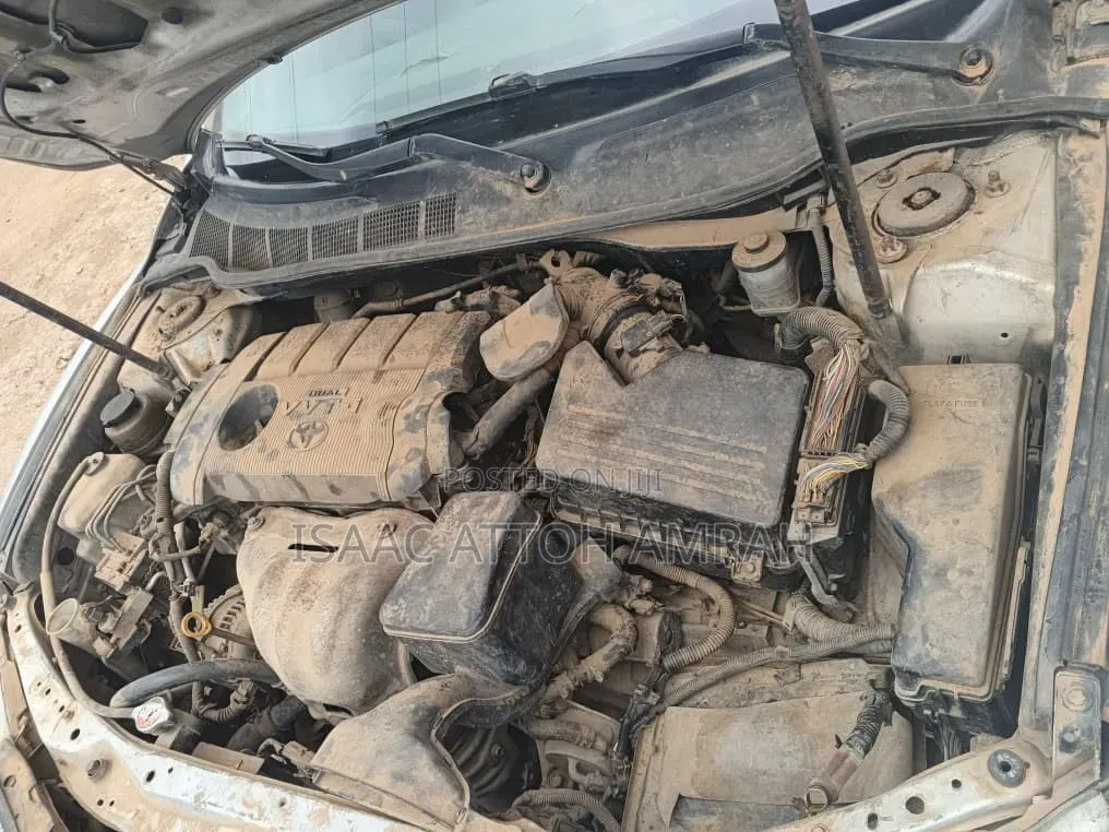 Toyota Camry 2009 Gray