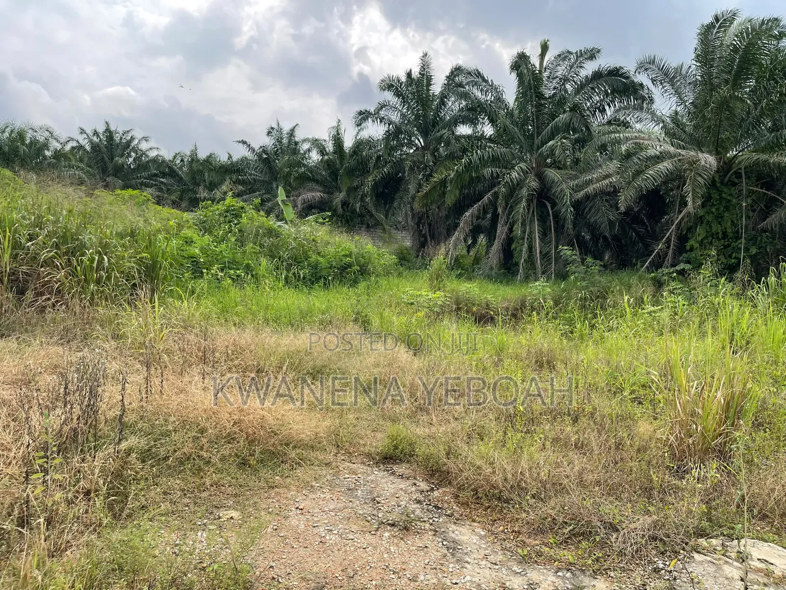 3 Acres of Land Plus Warehouse for Sale