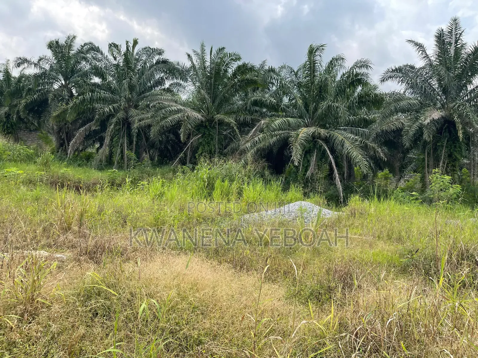 3 Acres of Land Plus Warehouse for Sale