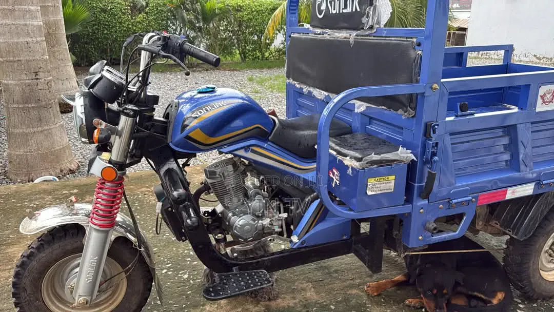Tricycle 2025 Blue