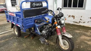 Tricycle 2025 Blue