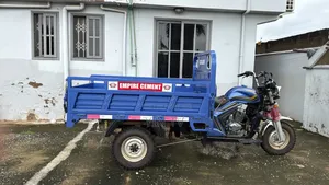 Tricycle 2025 Blue