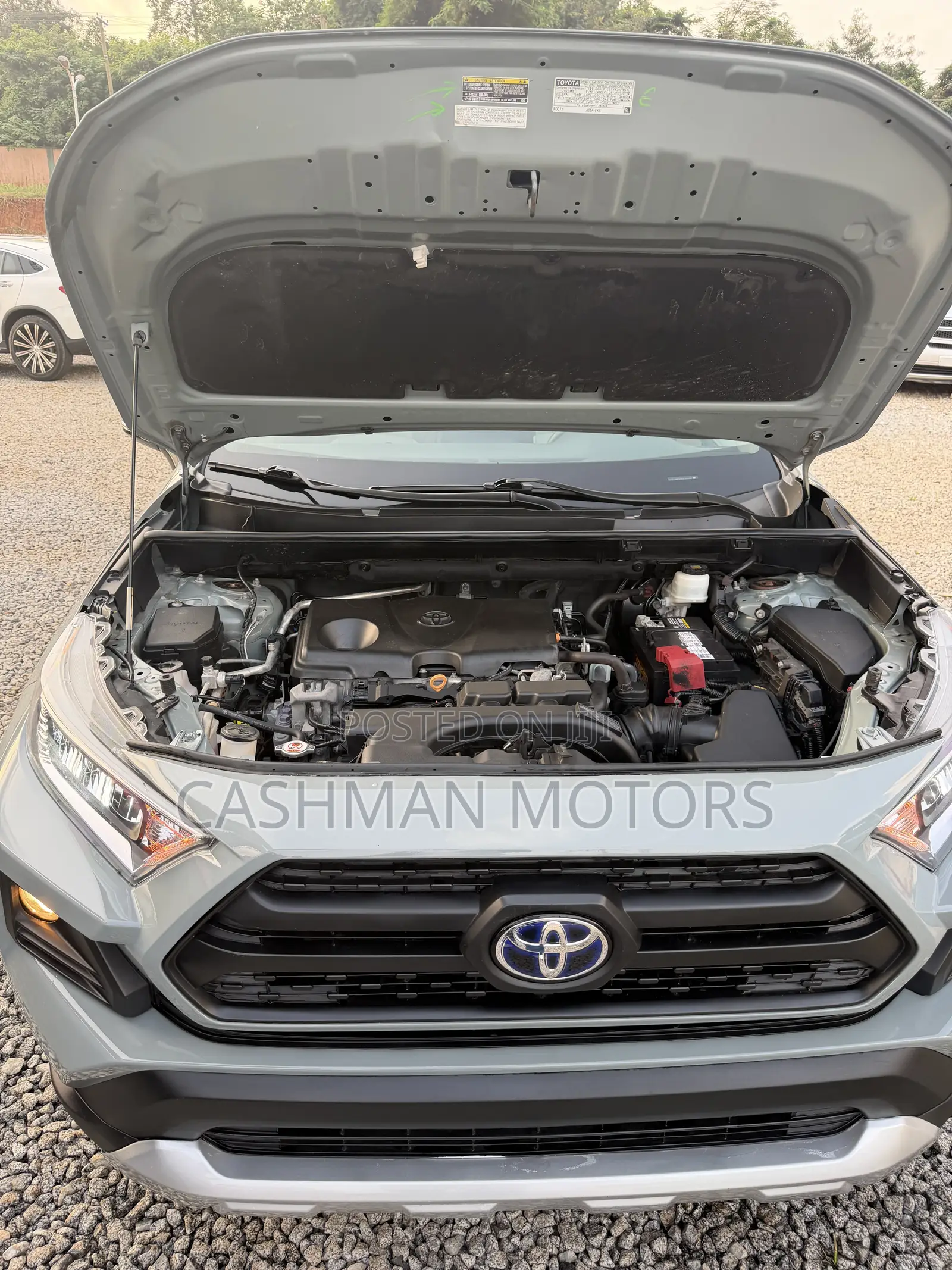 Toyota RAV4 XLE AWD 2020 Blue 