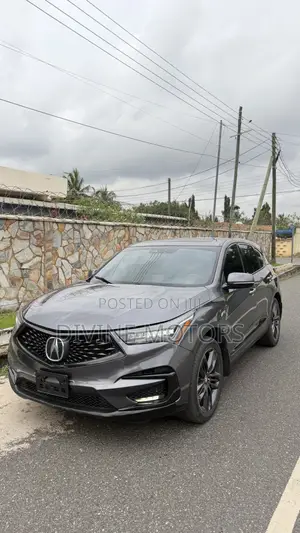 Acura RDX Advance Pkg SH-AWD 2020 Gray