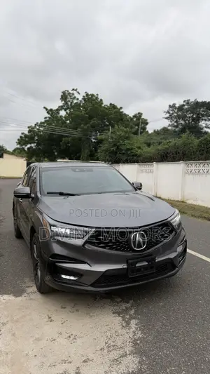 Acura RDX Advance Pkg SH-AWD 2020 Gray
