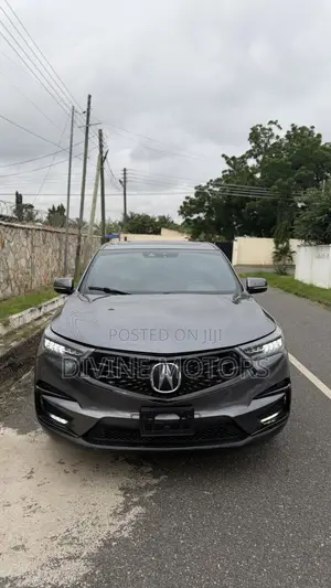 Acura RDX Advance Pkg SH-AWD 2020 Gray