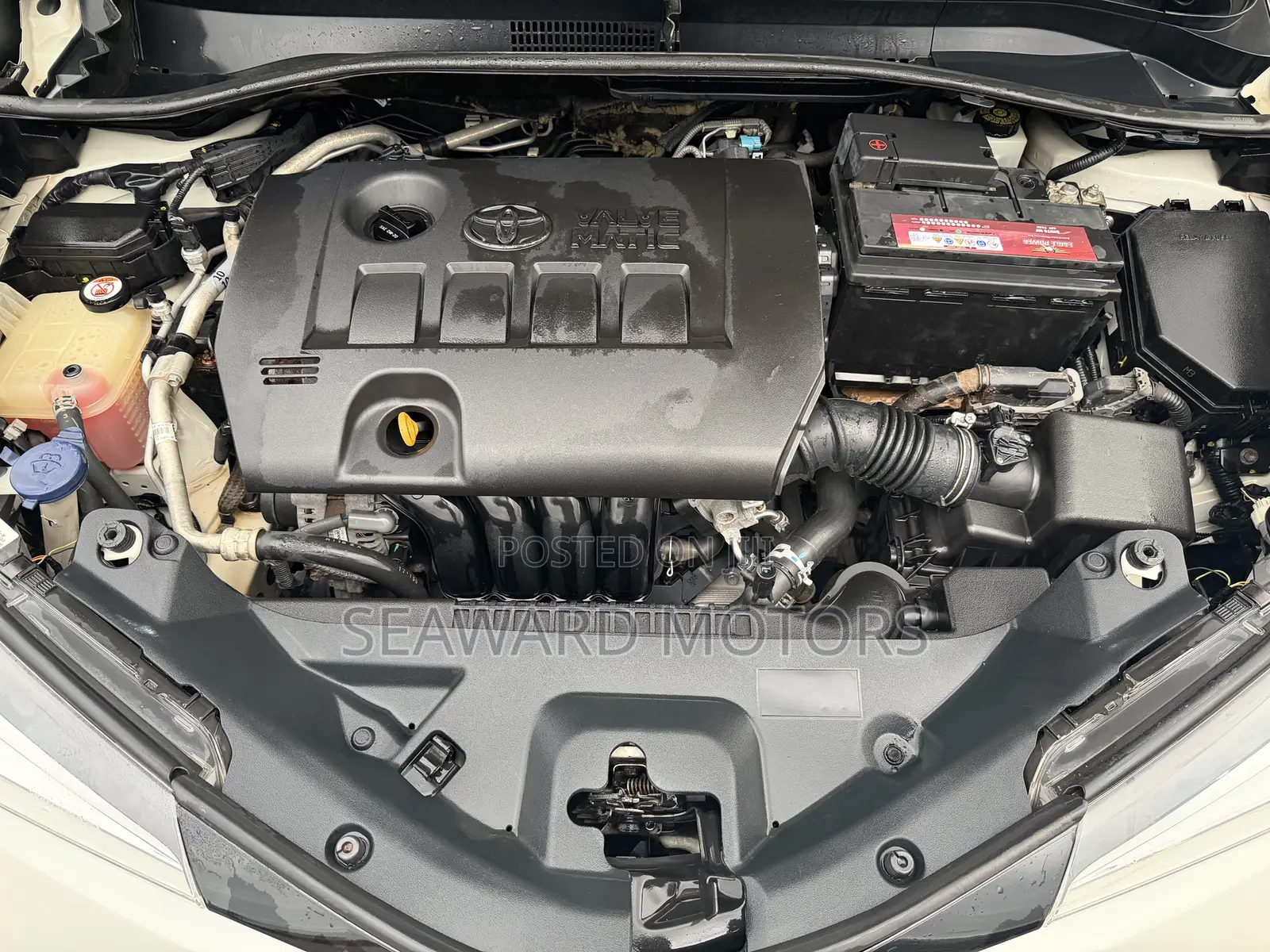 Toyota C-HR XLE Prermium FWD (2.0L 4cyl 2AM) 2018 White