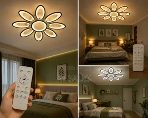 Remote Control 3 Color Ceiling Light.