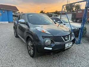 Nissan Juke 2011 Gray