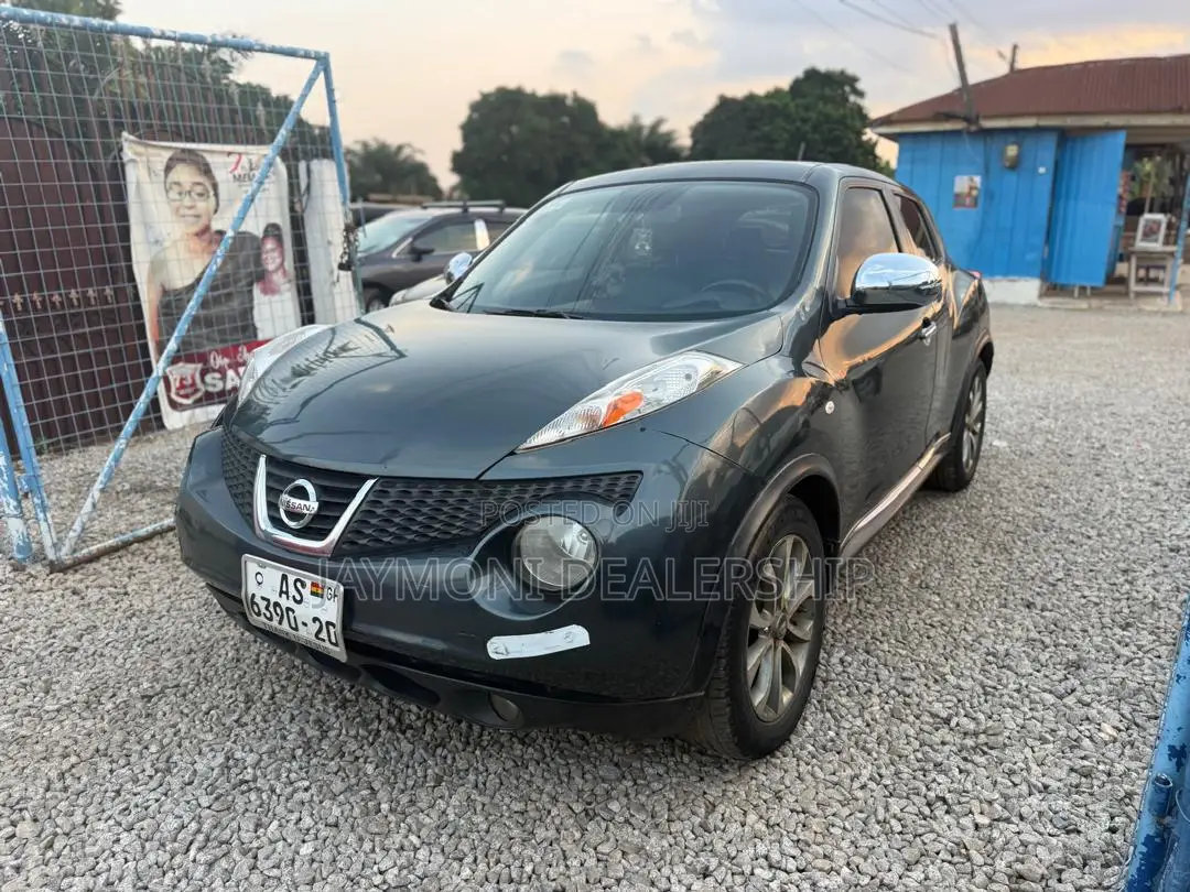 Nissan Juke 2011 Gray