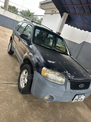 Ford Escape Hybrid 2007 Blue