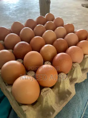 Fresh Farm Eggs