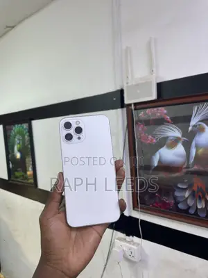 Apple iPhone 12 Pro Max 128 GB Silver