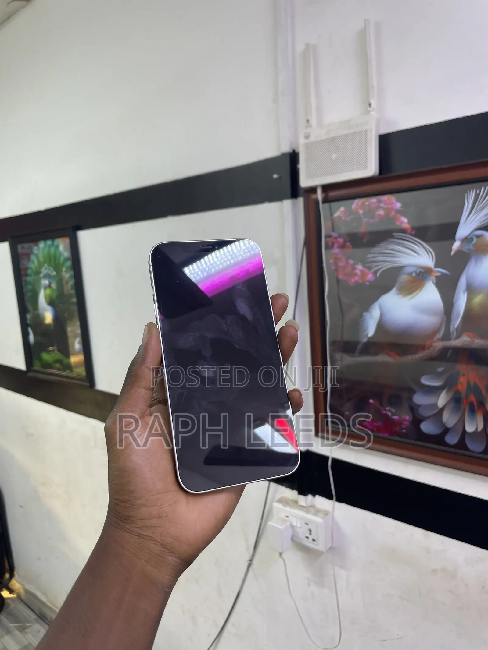 Apple iPhone 12 Pro Max 128 GB Silver