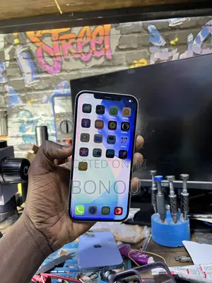 Apple iPhone 12 Pro Max 256 GB White