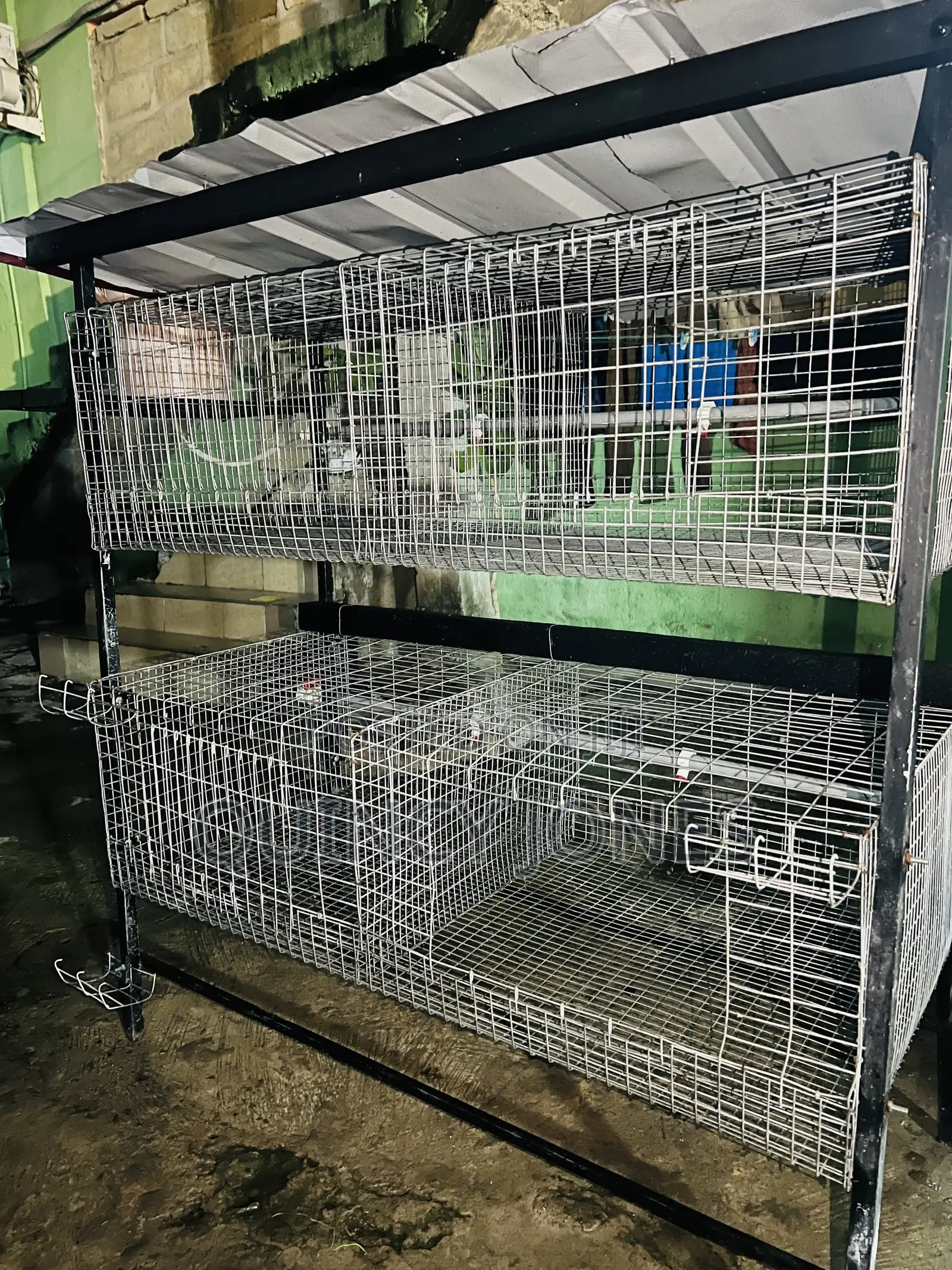 4unit Cage With a Water System